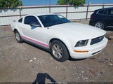 Ford Mustang V6 Deluxe/V6 Premium 1ZVFT80N975347140 photo