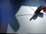 Honda Civic Lx 2HGFG1B61AH504794 снимка