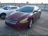 Nissan Maxima 3.5 Sv 1N4AA5AP7BC839600 снимка