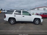 Chevrolet Trailblazer Ls 1GNDT13S362112632 снимка