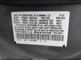 Honda Odyssey Ex-L 5FNRL38717B137056 снимка