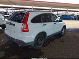 Honda Cr-V Lx JHLRE38368C010117 снимка
