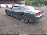 Dodge Challenger Sxt 2C3CDYAG3DH561956 fotografie