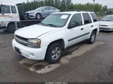 Chevrolet Trailblazer Ls 1GNDT13S742293344 снимка