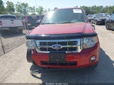 Ford Escape Xlt 1FMCU0D74BKA79779 photo