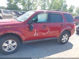 Ford Escape Xlt 1FMCU0D74BKA79779 fotografie