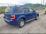 Ford Escape Xlt 1FMCU93178KB41640 снимка