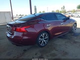 Nissan Maxima 3.5 Sl 1N4AA6AP8GC386830 снимка