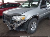 Ford Escape Xls/Xls Manual 1FMYU02Z46KA18352 fotografie