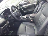 Toyota Rav4 Xle Premium JTMA1RFV7KD037504 photo