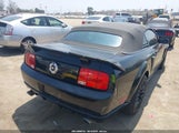Ford Mustang V6 1ZVFT84N765102586 снимка