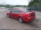 Hyundai Sonata Se 5NPE24AF2GH311422 снимка