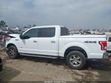 Ford F-150 Xlt 1FTEW1EG6FKD02339 снимка