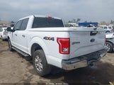 Ford F-150 Xlt 1FTEW1EG6FKD02339 снимка