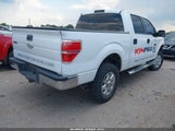 Ford F-150 Xlt 1FTFW1EF1EKF45468 снимка
