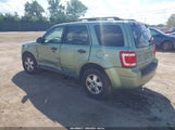 Ford Escape Xlt 1FMCU03178KA76252 снимка