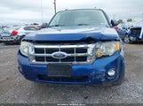 Ford Escape Xlt 1FMCU93138KD22671 fotografie
