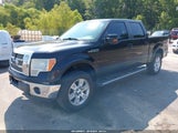 Ford F-150 Fx4/Harley-Davidson/King Ranch/Lariat/Platinum/Xl/Xlt 1FTFW1EV1AFA68096 снимка