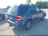 Ford Escape Xlt 1FMCU93G49KB78733 снимка