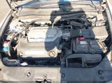 Honda Accord Exl 1HGCP3F87BA009462 снимка