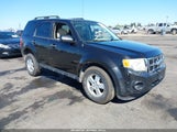 Ford Escape Xlt 1FMCU0DG5BKA74686 снимка