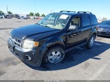 Ford Escape Xlt 1FMCU0DG5BKA74686 снимка