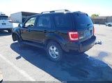 Ford Escape Xlt 1FMCU0DG5BKA74686 снимка