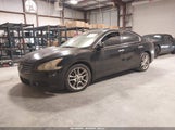 Nissan Maxima 3.5 Sv 1N4AA5AP3BC823913 снимка