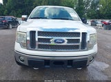 Ford F-150 Platinum 1FTFW1EV4AKA18297 снимка
