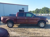 Ford F-150 Xl/Xlt 1FTEW1E8XAFD64725 fotografie