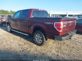Ford F-150 Xl/Xlt 1FTEW1E8XAFD64725 fotografie
