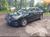Hyundai Sonata Se 5NPE24AF5FH206274 снимка