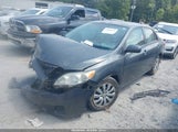 Toyota Corolla Le 2T1BU4EE3CC915993 photo