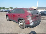 Toyota Rav4 Xle JTMP1RFV4KD033890 снимка