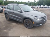 Volkswagen Tiguan S WVGBV7AXXGW525276 fotografie