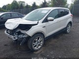 Ford Escape Sel 1FMCU9H92DUC73539 fotografie