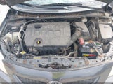 Toyota Corolla Xle 1NXBU40E19Z017035 снимка