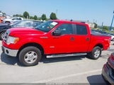 Ford F-150 Xlt 1FTFW1ET3DKF73583 снимка