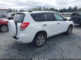 Toyota Rav4 2T3ZF4DV3BW105701 снимка