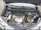 Toyota Rav4 Le JTMBFREV3JJ730416 снимка