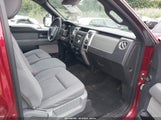 Ford F-150 Xlt 1FTFW1EF7DFA11818 снимка
