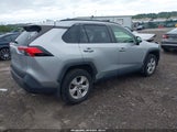 Toyota Rav4 Xle JTMP1RFV8LJ033488 снимка