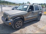 Jeep Liberty Renegade 1J4GK38K56W127455 photo