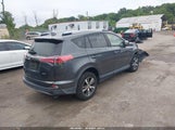 Toyota Rav4 Xle JTMWFREV2HD105886 снимка
