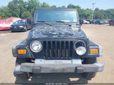 Jeep Wrangler Se 1J4FA29P41P303563 снимка