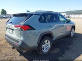 Toyota Rav4 Xle 2T3P1RFV4MW224120 photo
