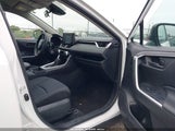 Toyota Rav4 Le 2T3F1RFVXKW062955 fotografie