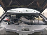Ford F-150 Stx/Xl/Xlt 1FTRX12W86NA48917 photo