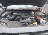 Subaru Outback Premium 4S4BTADC5P3108886 снимка
