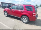 Ford Escape Xlt 1FMCU0DGXAKC95781 снимка